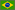 Brazilian